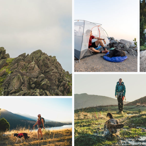 Ruffwear and Hipcamp hiking campsites.