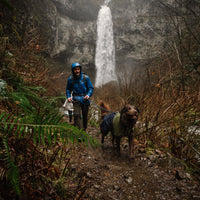 A man and dog walk on a muddy hiking trail near a waterfall.