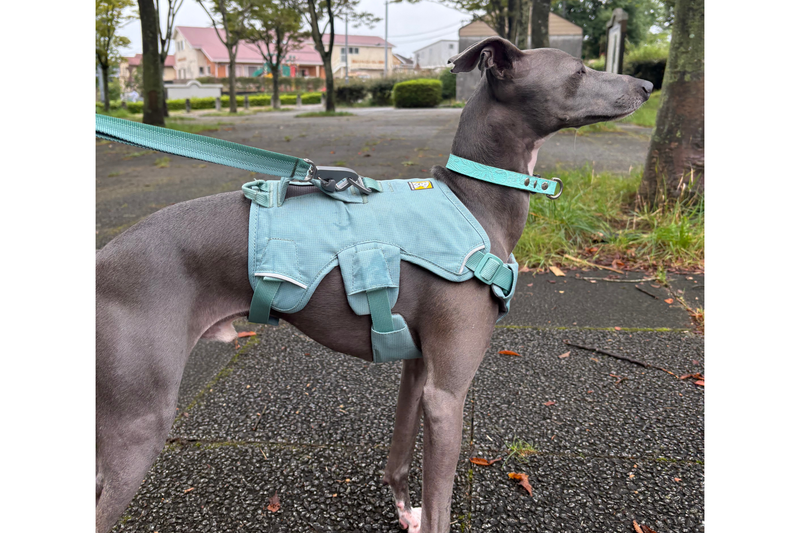 レビュー | Ruffwear JAPAN