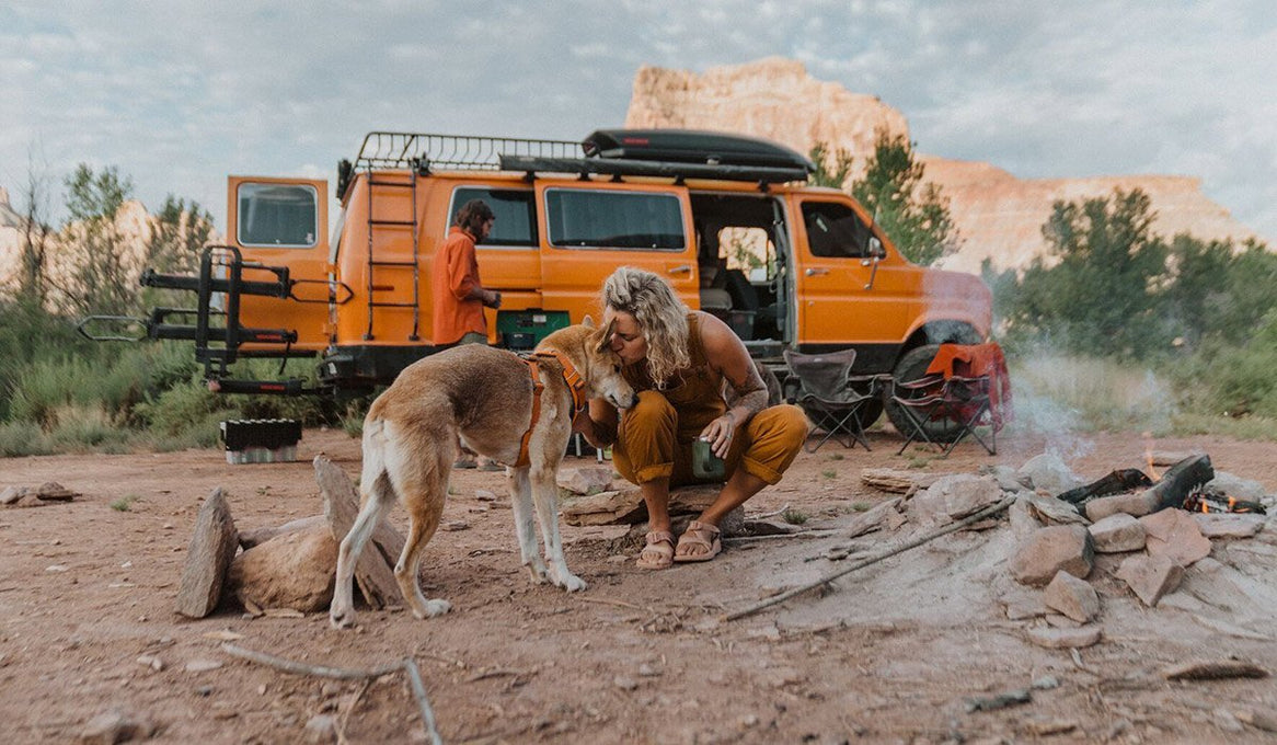 Dog and human at desert campsite with van in background