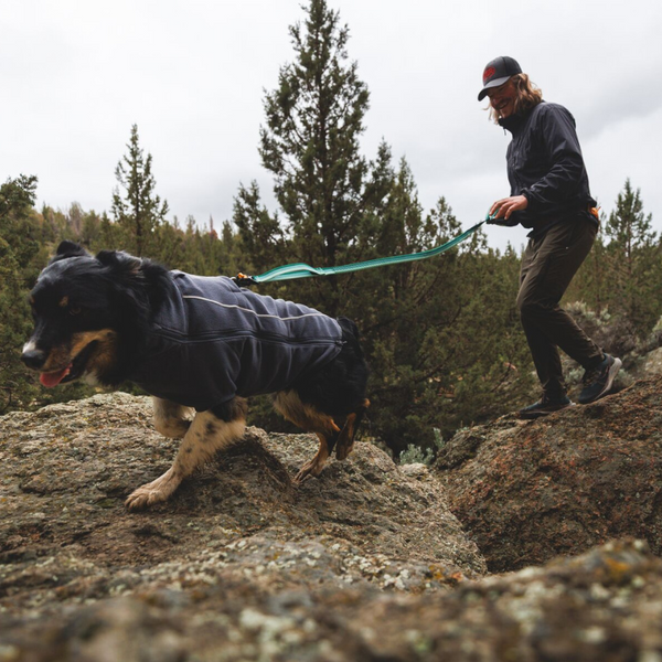 Man hiking with his dog.