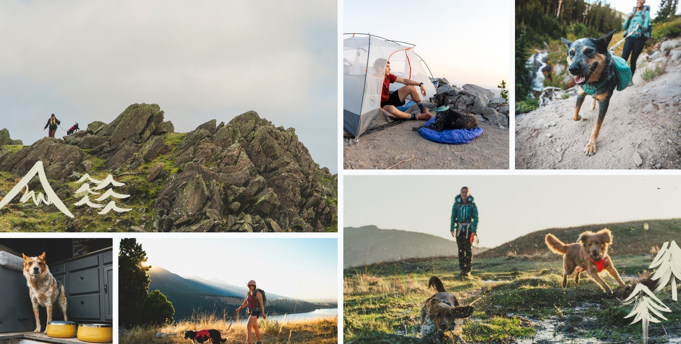 Ruffwear and Hipcamp hiking campsites.