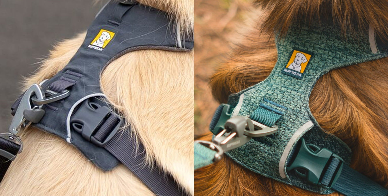 Up close shots of the original Front Range Harness and the Front Range Flex Harness