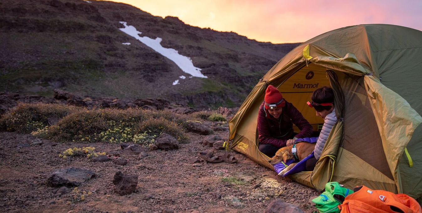 How To Camp With Your Dog