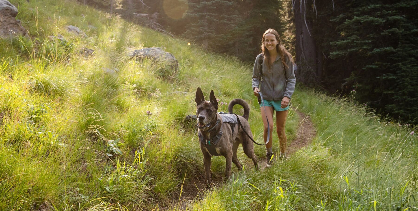 Woman hiking with her dog on a trail through a grassy hillside