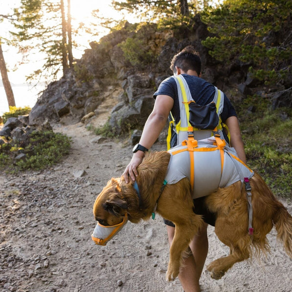 DIG: All About the BackTrak ™ Dog Evac Kit