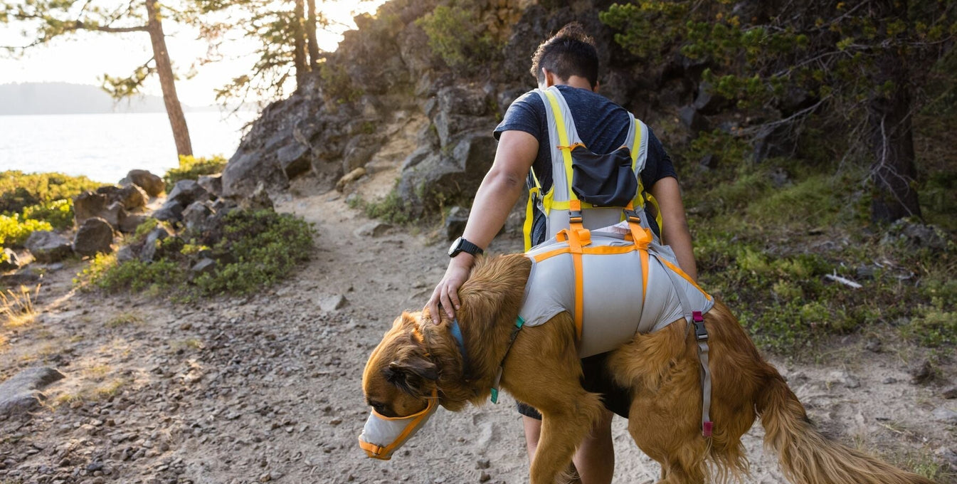 DIG: All About the BackTrak ™ Dog Evac Kit