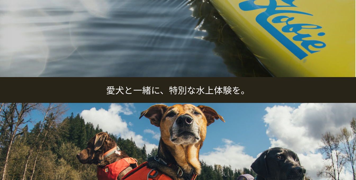 News | Ruffwear JAPAN