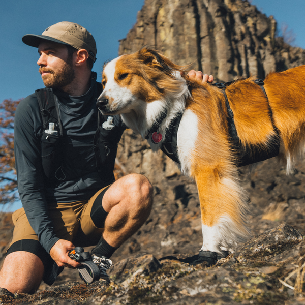 Dog Harnesses-2025SS