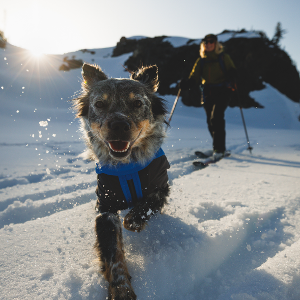 ホリデーギフト - 犬用アウトドアギア | Ruffwear JAPAN | Ruffwear JAPAN