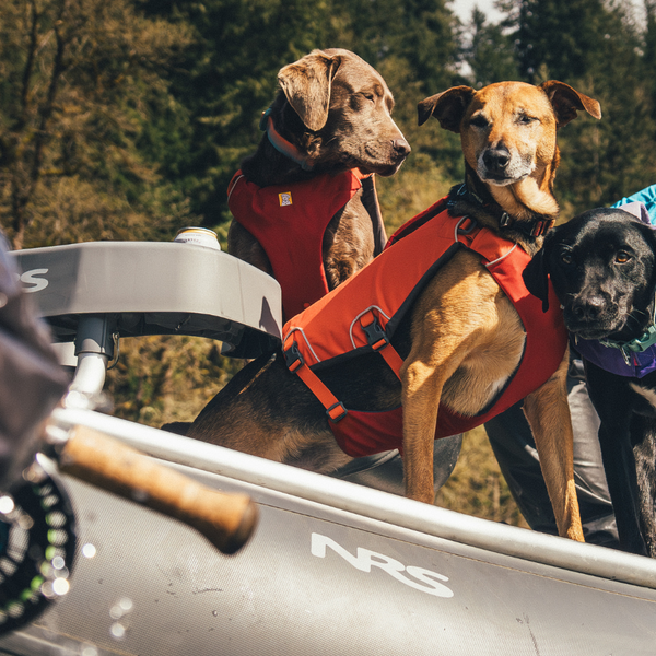 Dog Life Jackets & Life Vests | Ruffwear JAPAN
