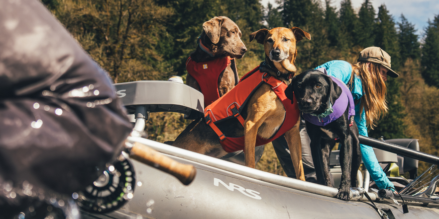 Dog Life Jackets & Life Vests | Ruffwear JAPAN