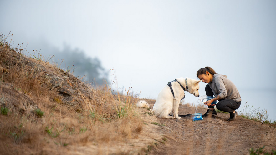 ボウル | Ruffwear JAPAN