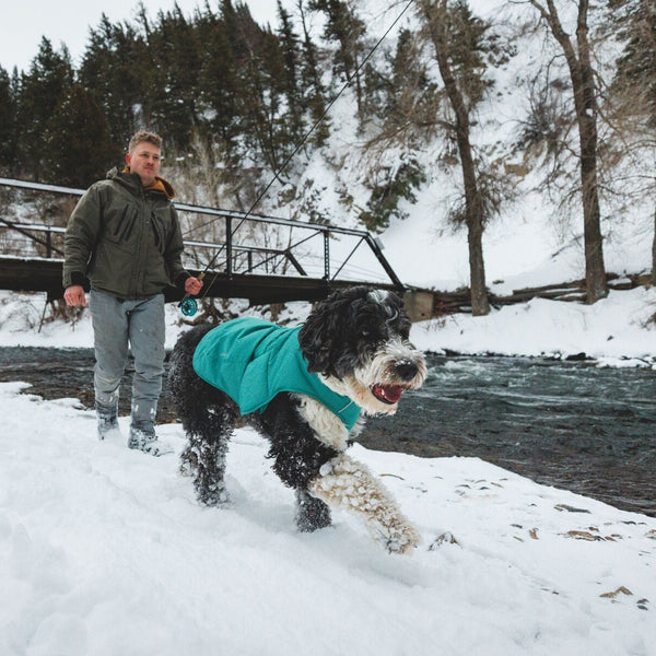Winter Dog Gear-2024AW