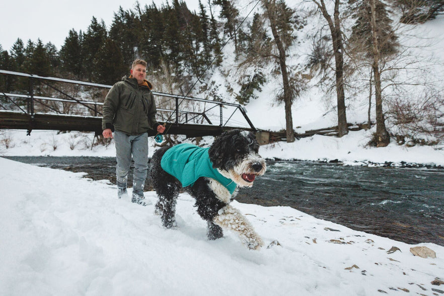 冬のギア | Ruffwear JAPAN
