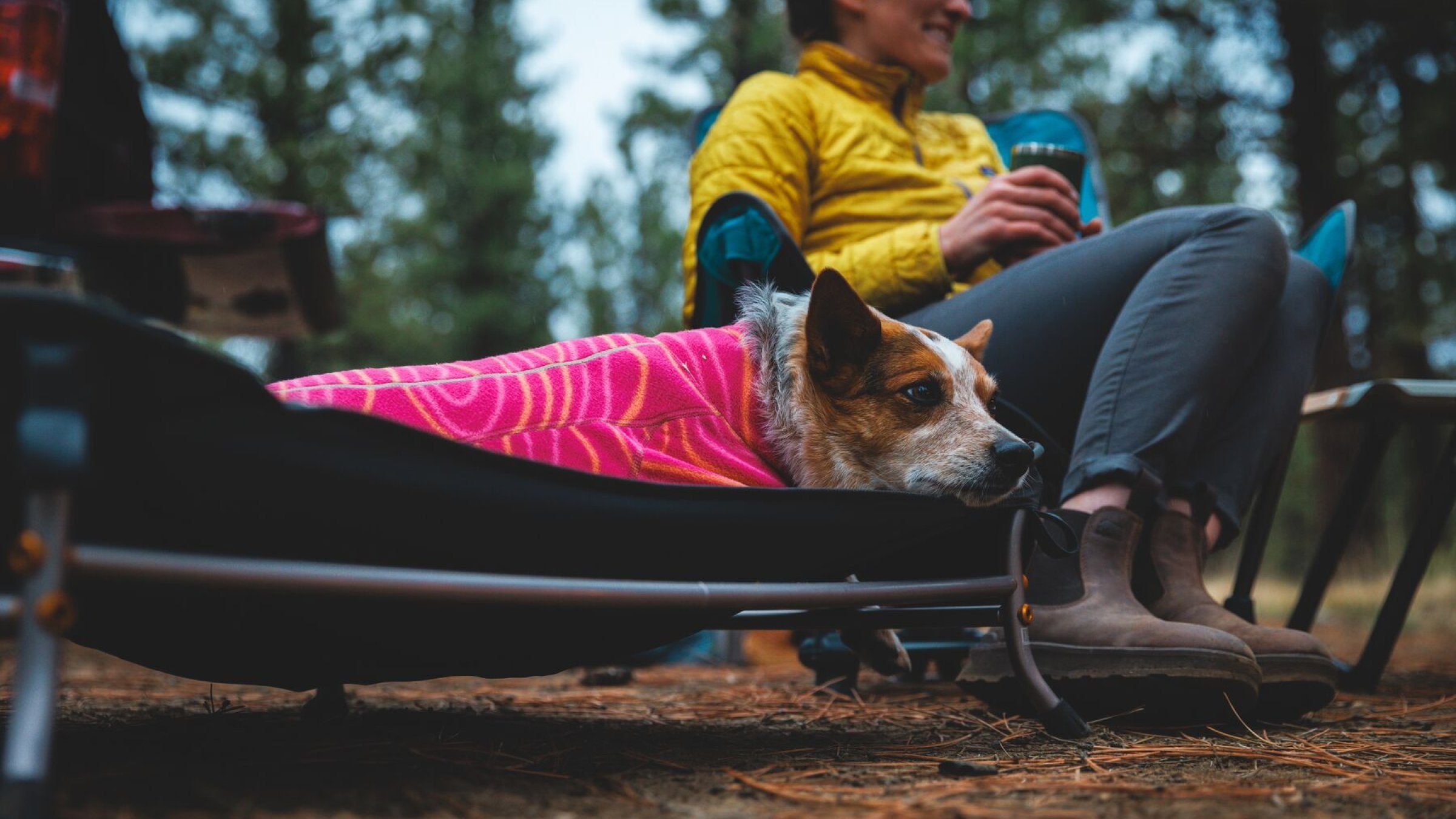 ラフウェア　ハイランズパッド　M　旧型 ハイランズパッド 【ラフウェア RuffWear】