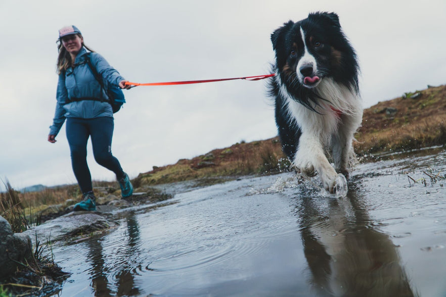 Dog Leashes | Strong, Adjustable and Reflective | Ruffwear JAPAN