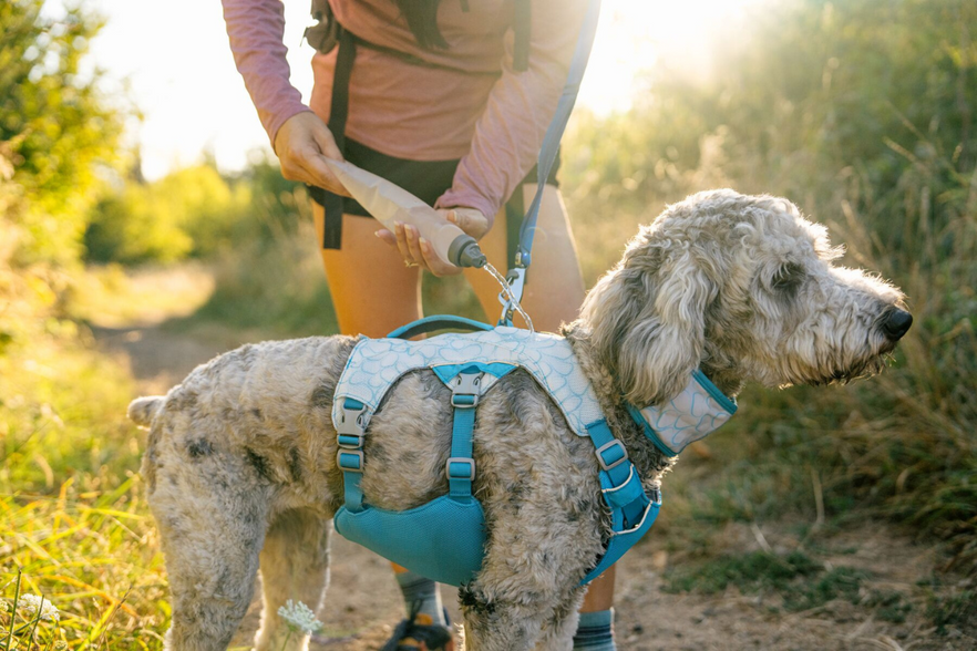 スワンプクーラーコレクション | Ruffwear JAPAN