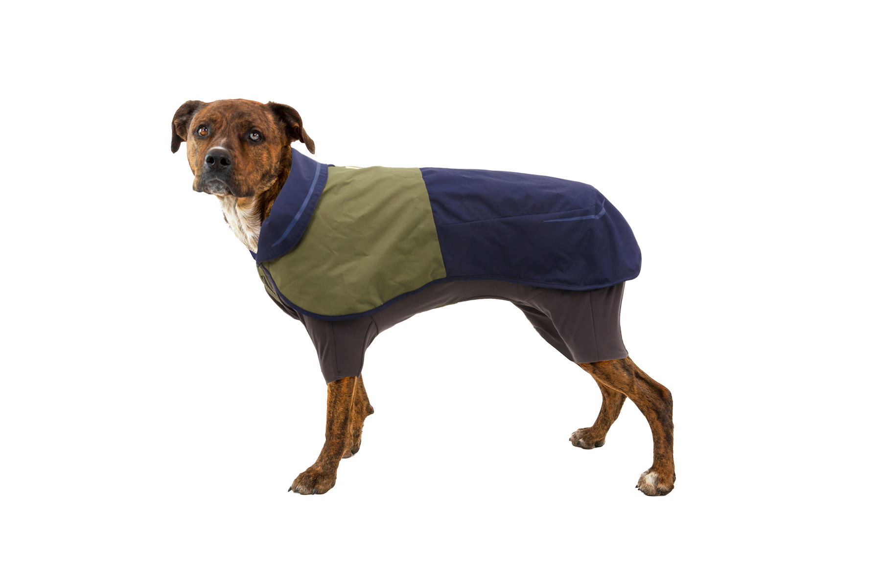 サンシャワーカバーオール | Ruffwear JAPAN