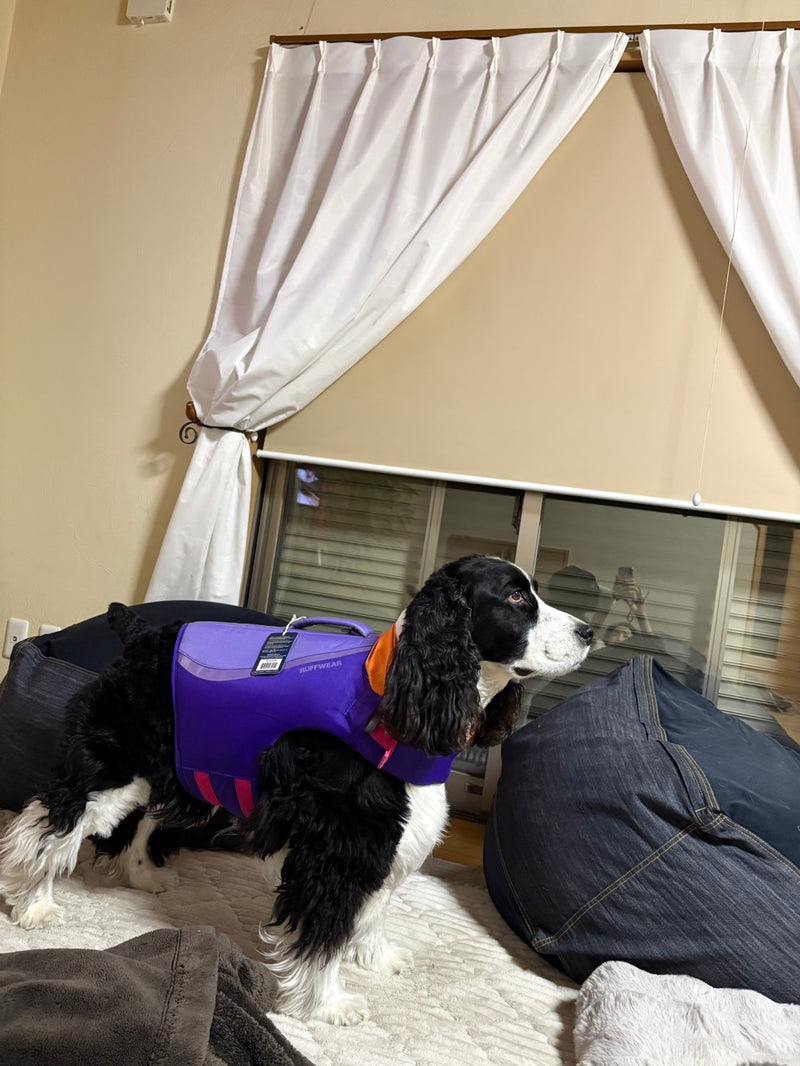 フロートコートライフジャケット |犬用パーソナルフローティング