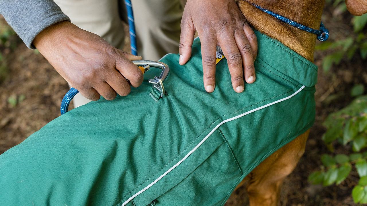 ハーネス一体型