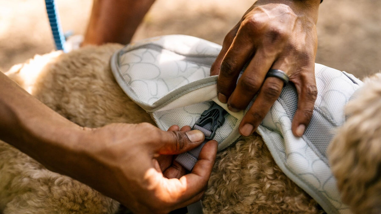 スワンプクーラー技術