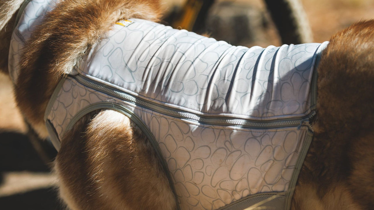 ジッパー式クロージャーでぴったりフィット