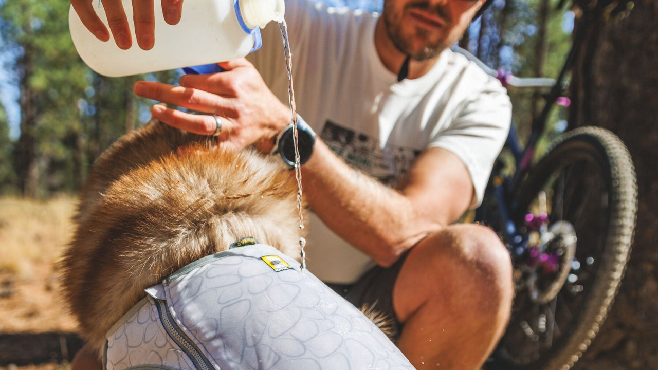 軽量スパンデックス