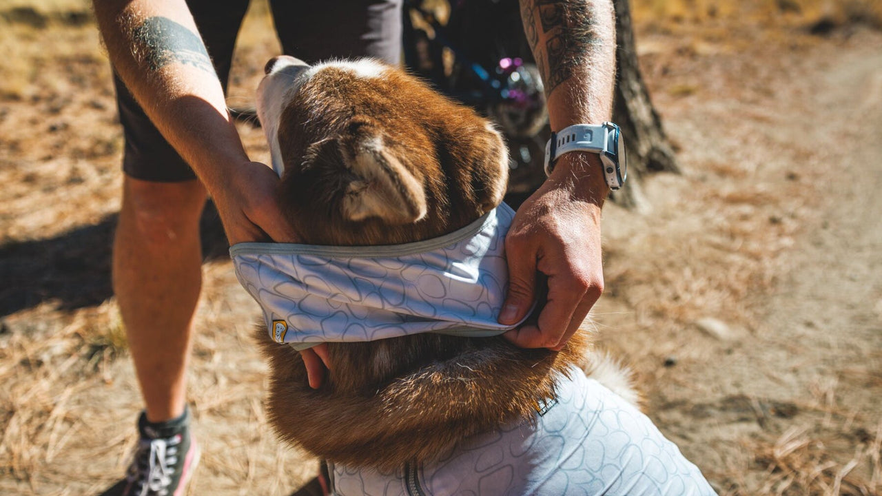 クーリングネックゲイター