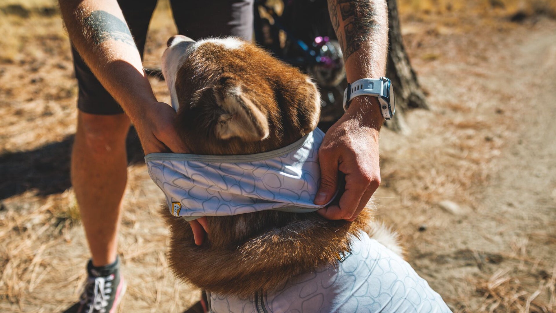 スワンプクーラーネックゲーター | Ruffwear JAPAN