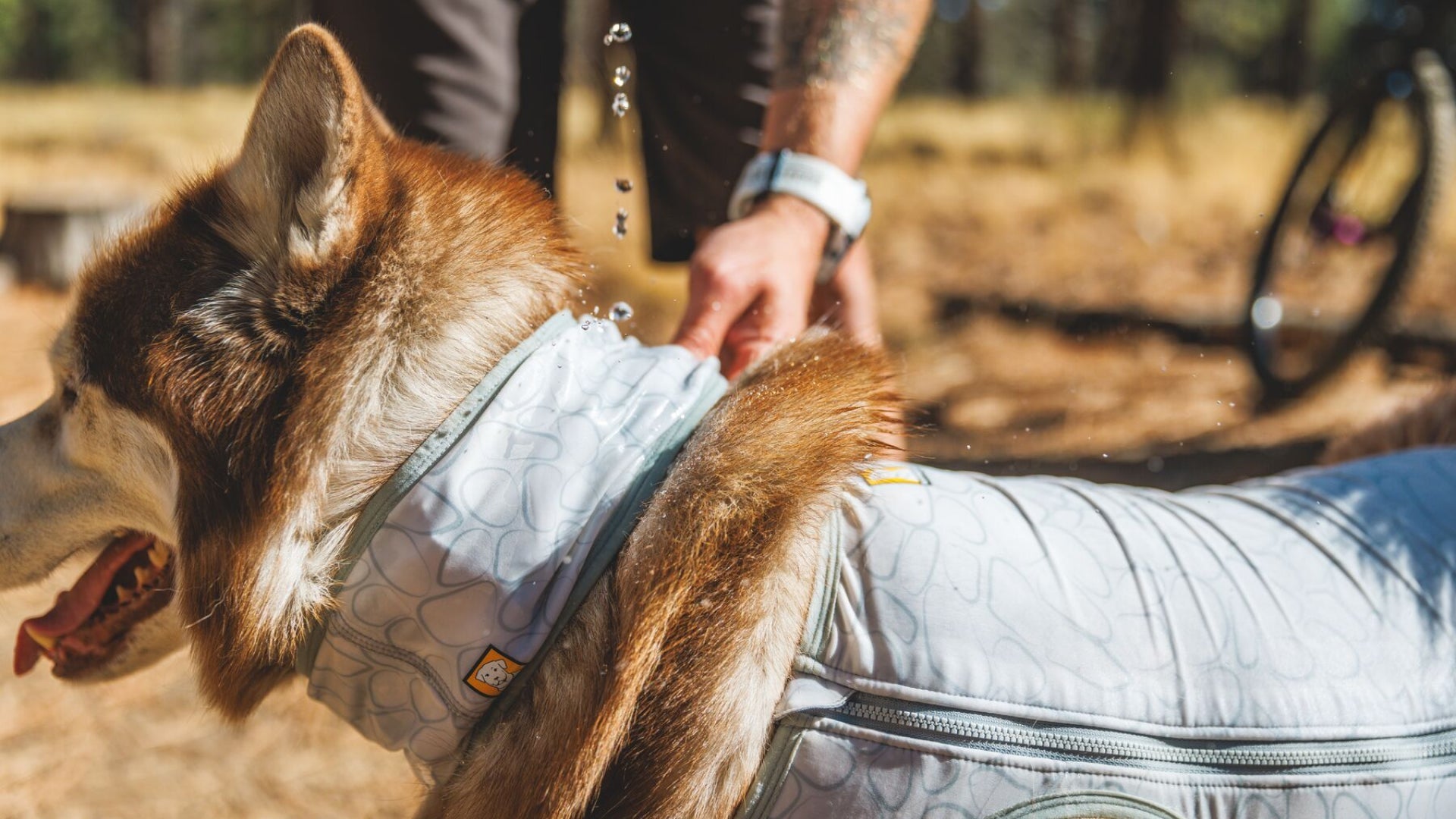 スワンプクーラーネックゲーター | Ruffwear JAPAN