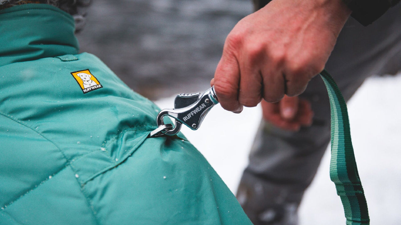 リーシュポータル