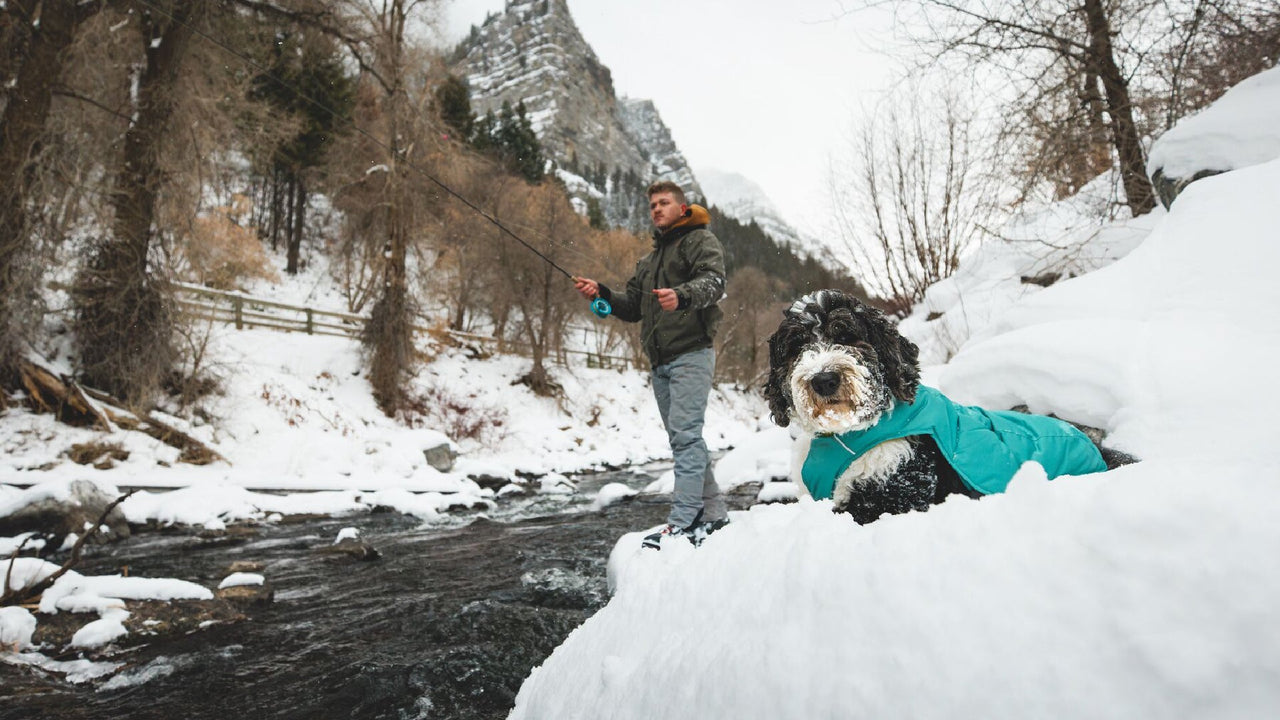 ハイロフトの暖かさ