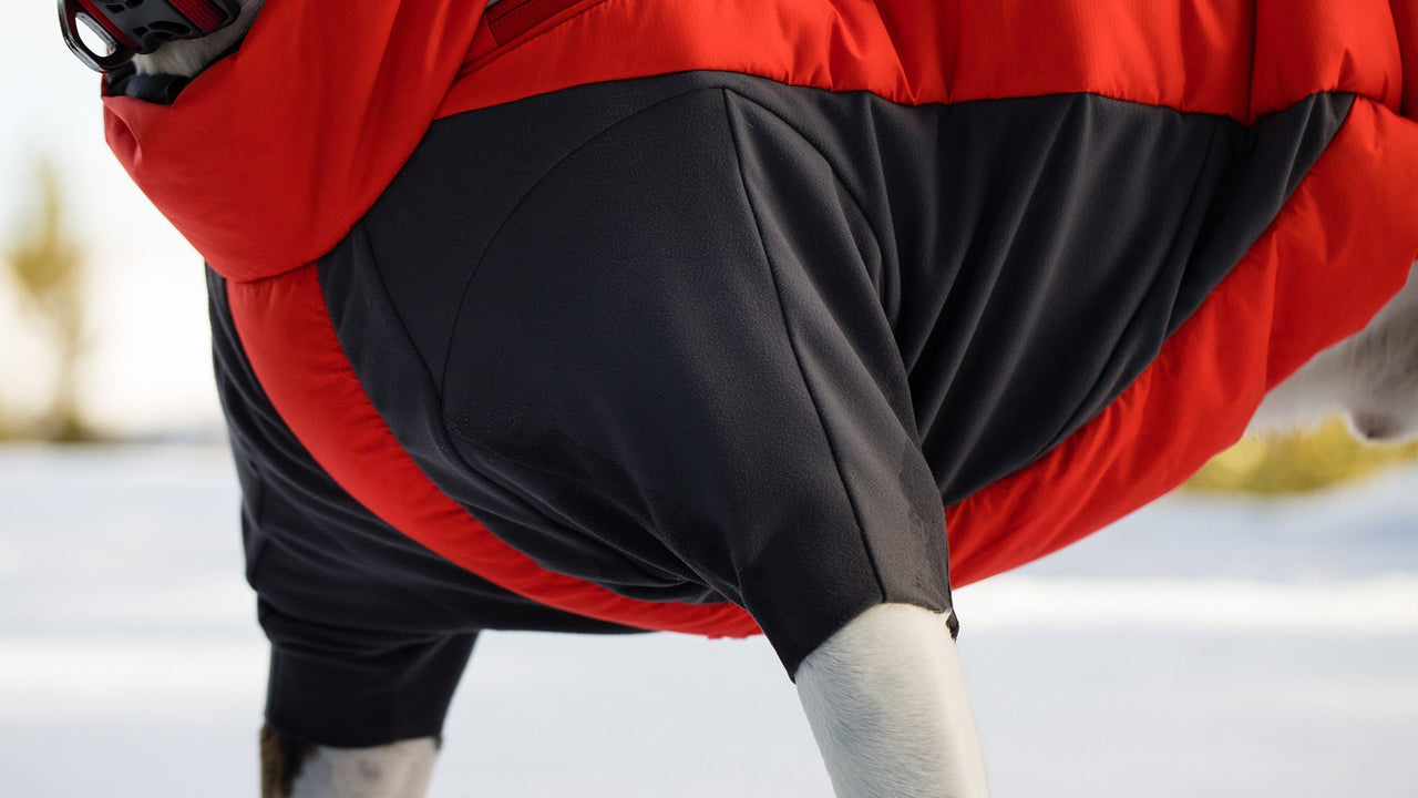 動くために作られた