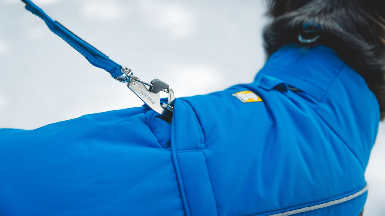 リーシュポータル