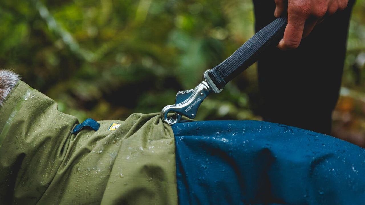 リーシュポータル