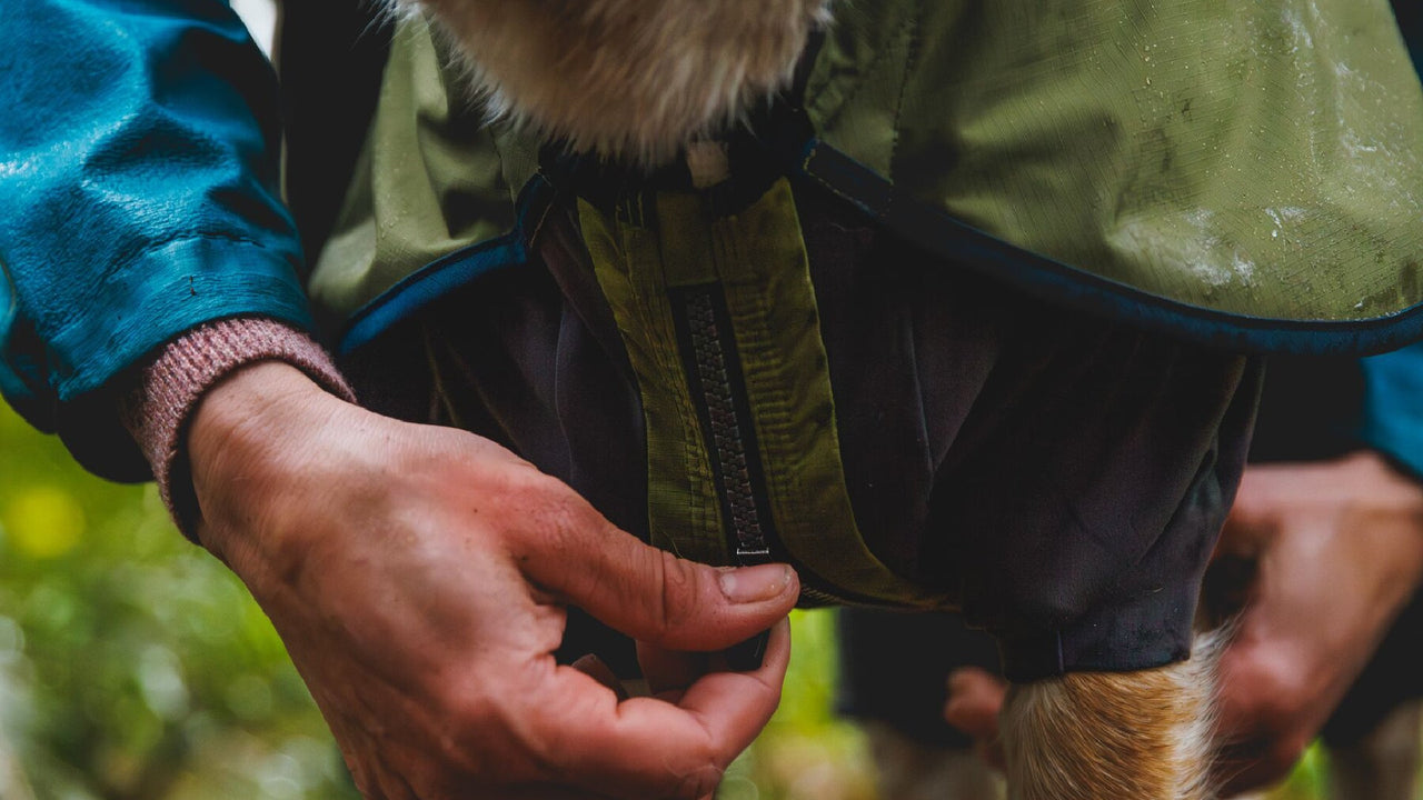 フルカバレッジ