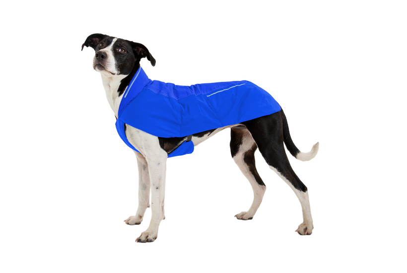 ヴァートドッグジャケット/防水性、防風性、断熱性 | Ruffwear JAPAN ヴァートドッグジャケット/防水性、防風性、断熱性 | Ruffwear JAPAN
