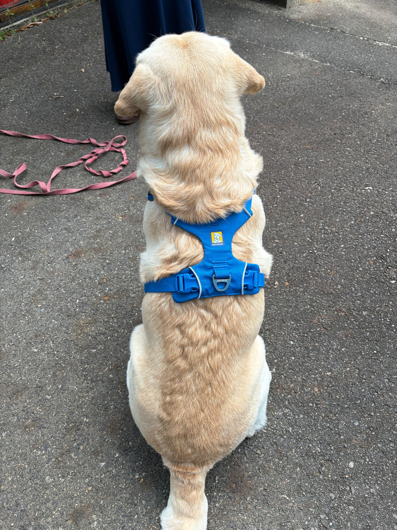 RUFFWEAR ハーネスSサイズ(試着のみ) フロントレンジハーネス | Ruffwear JAPAN