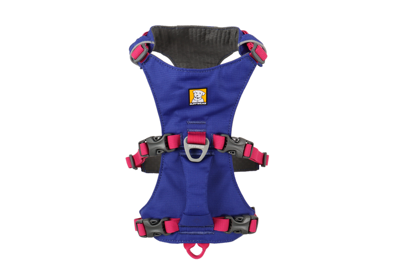 ハックルベリーブルー