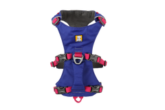 ハックルベリーブルー