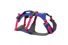 ハックルベリーブルー