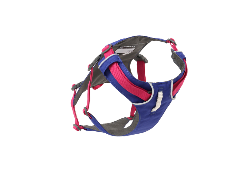 ハックルベリーブルー