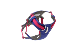 ハックルベリーブルー