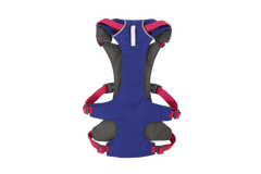 ハックルベリーブルー