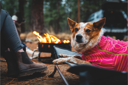 ポーラトレックス冬用ブーツ | スノーブーツ | Ruffwear JAPAN ポーラトレックス冬用ブーツ | スノーブーツ | Ruffwear JAPAN