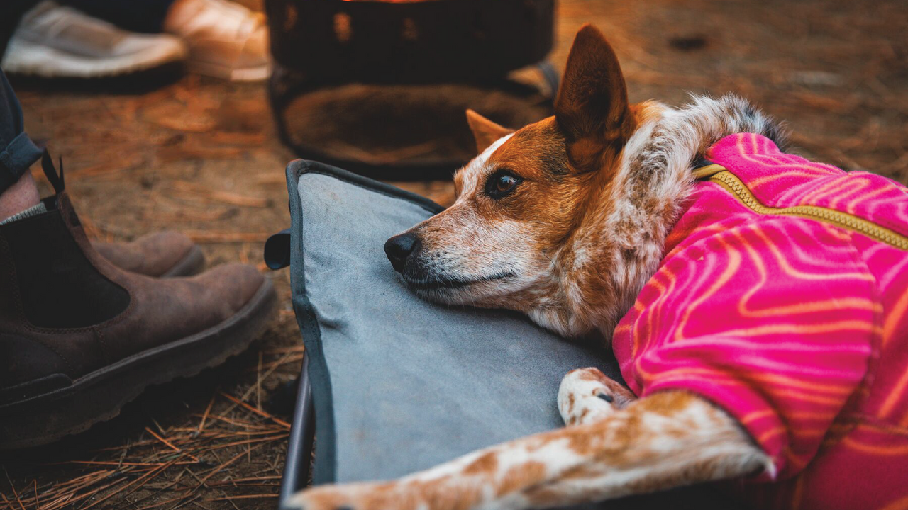 補強された寝面（トップ生地）