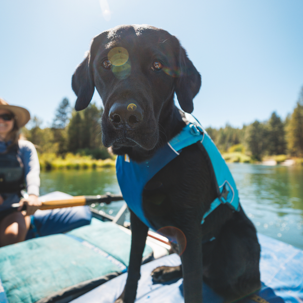 Dog Life Jackets & Life Vests | Ruffwear JAPAN Dog Life Jackets & Life Vests | Ruffwear JAPAN