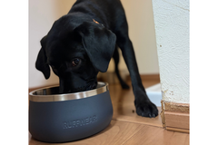 18kg 男の子 オレオくん | ラブラドールレトリバー🐶ベースキャンプドッグボウル