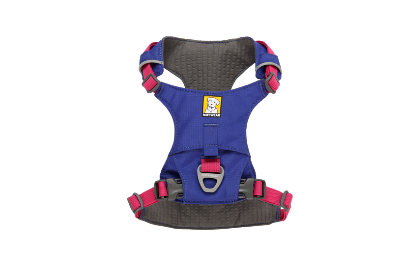 ハックルベリーブルー